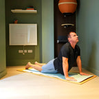 Hedria Wall-mounted Folding Desk