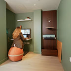 Hedria Wall-mounted Folding Desk